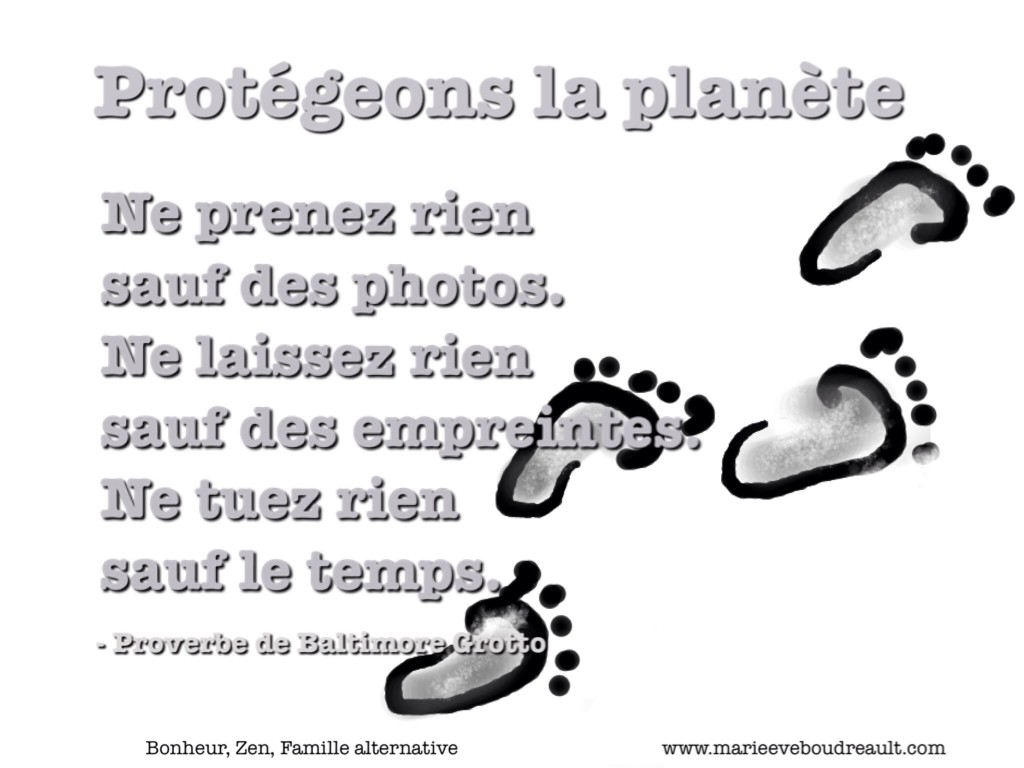 VIVRE VERT 101: 12 HABITUDES DE VIE VERTE POUR PROTÉGER NOTRE PLANÈTE TERRE